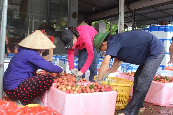 Xuất khẩu trên 2.000 tấn trái cây tươi đi Hoa Kỳ