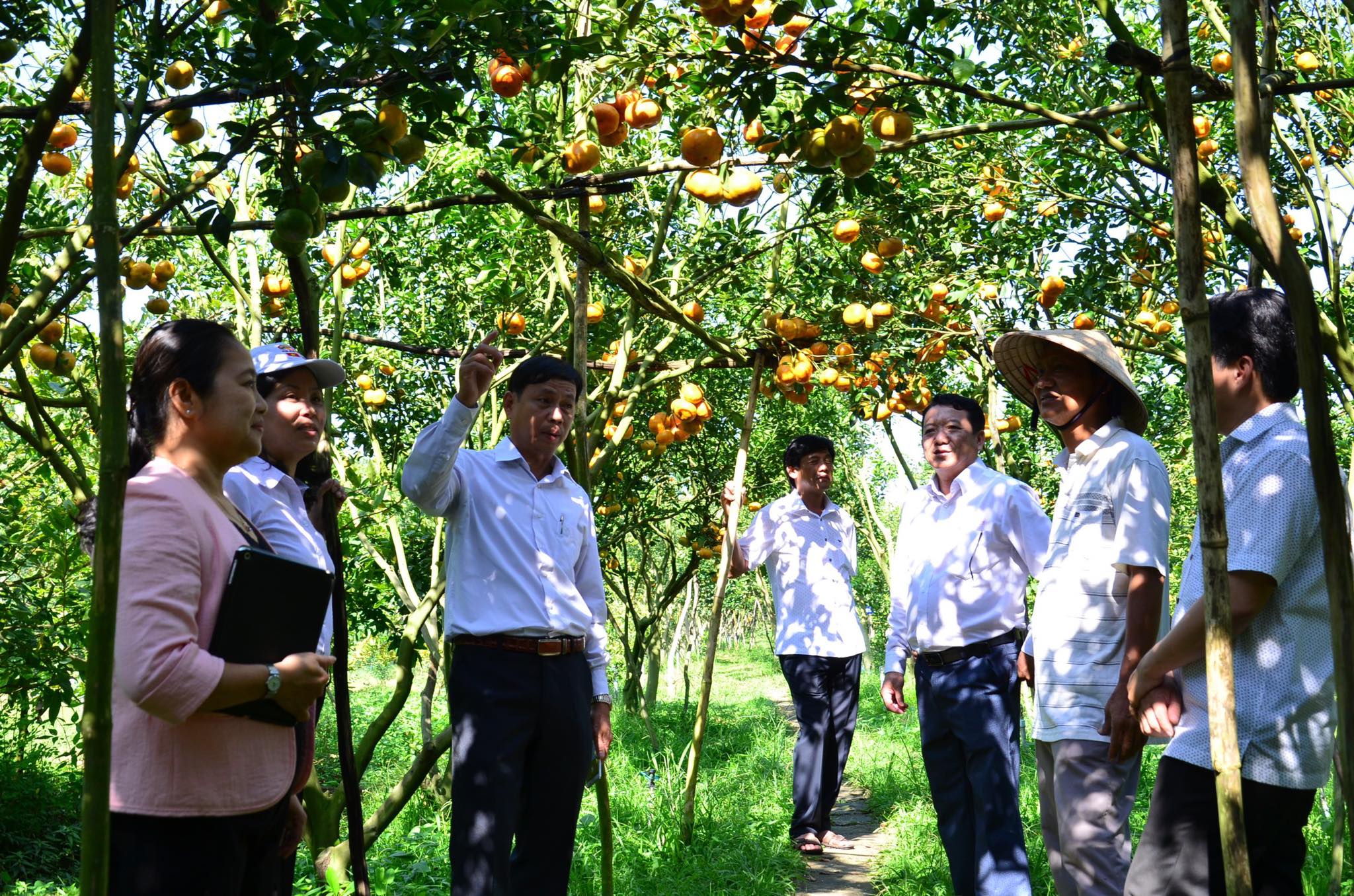 Đồng Tháp tháo gỡ khó khăn, đẩy mạnh giải ngân đầu tư công