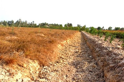 Những lợi ích gì mà việc thay đổi cơ cấu sản xuất trong nông nghiệp để ứng phó với hạn mặn mang lại cho khu vực Đồng bằng sông Cửu Long?
