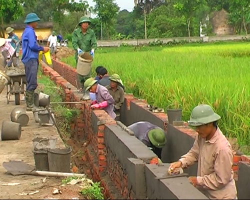 Vai trò của các hợp tác xã trong phát triển nông nghiệp và xây dựng nông thôn mới ở Nghệ An