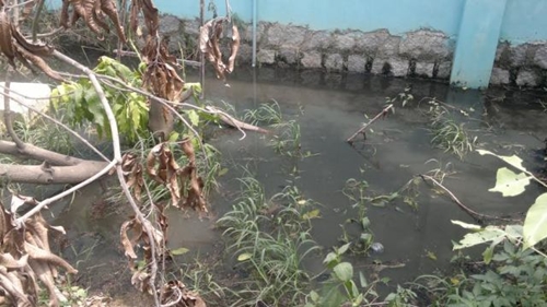 Phú Yên Doanh nghiệp xả nước thải gây ô nhiễm nghiêm trọng