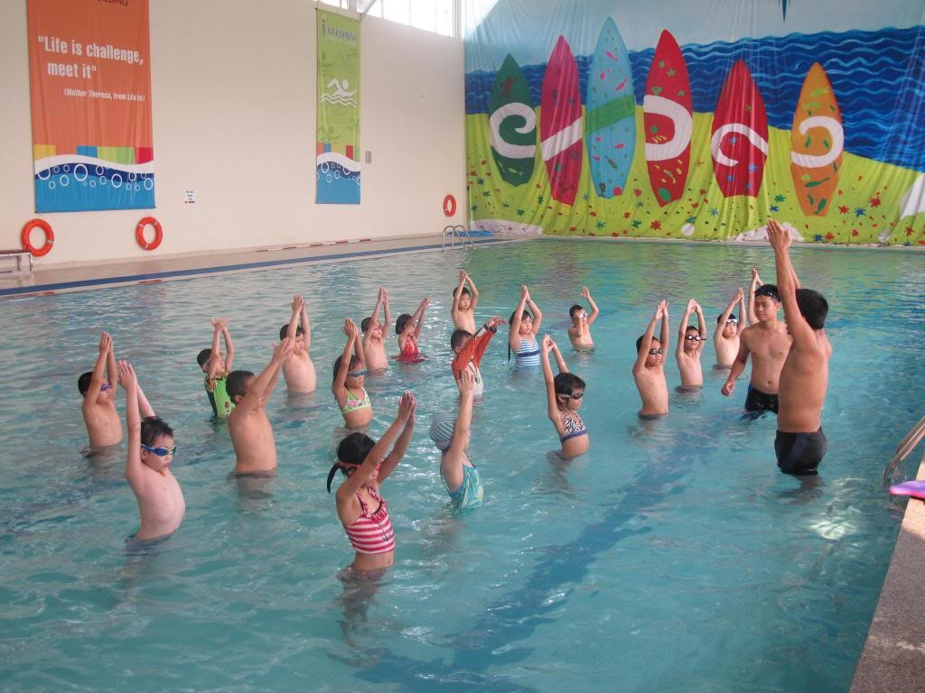 Các Loại Bể Bơi Trong Trường Học và Công Năng Sử Dụng