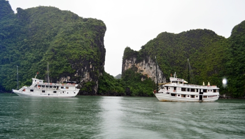 Quảng Ninh 8 10 doanh nghiệp có tàu du lịch bị đình chỉ hoạt động trên Vịnh Hạ Long đã đến nộp tiền thuế nợ đọng