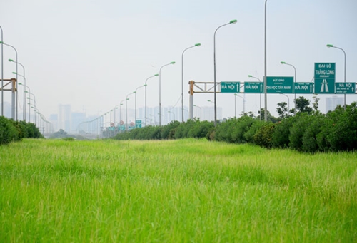 Mỗi năm chi 53 tỷ đồng cắt cỏ, Đại lộ Thăng Long vẫn như đường rừng