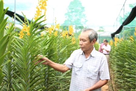 TP Hồ Chí Minh Tiếp tục đẩy mạnh chương trình xây dựng nông thôn mới
