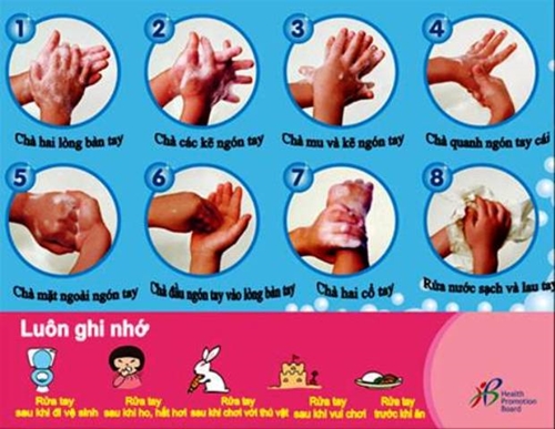 Triển khai chiến dịch “10 triệu bàn tay sạch đẩy lùi dịch bệnh”