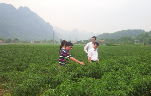 Chuyển đổi nông nghiệp Việt Nam sẽ góp phần thúc đẩy tăng trưởng