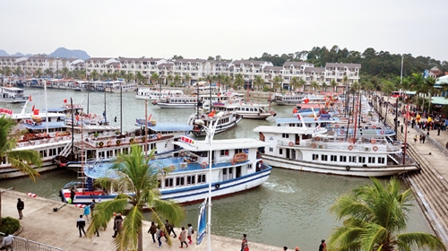 Cảng Tuần Châu chỉ được thu phí khi có ý kiến của UBND Quảng Ninh