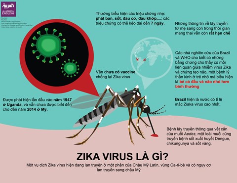TP.Hồ Chí Minh phát hiện thêm 3 ca nhiễm virus Zika