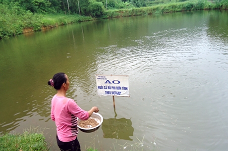 Ninh Thuận Nuôi thủy sản ghép theo tiêu chuẩn VietGAP cho hiệu quả cao