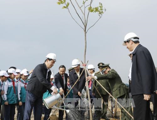 Chủ tịch nước Trần Đại Quang Nâng cao ý thức, trách nhiệm bảo vệ rừng