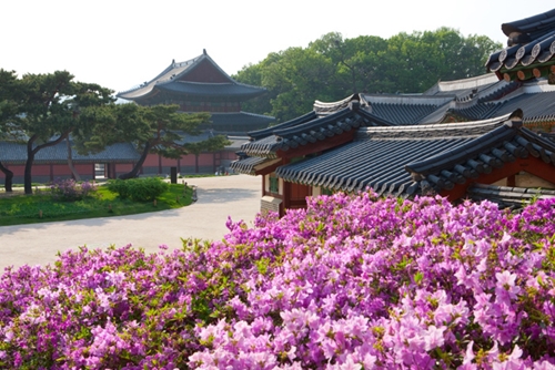 Quảng Ninh là một trong những thị trường lớn của du lịch Hàn Quốc