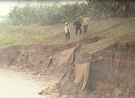Khắc phục sự cố sạt lở kè Lam Sơn trên đê tả sông Hồng