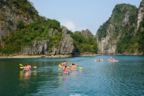 Đề nghị Quảng Ninh tạo điều kiện cho cung cấp dịch vụ Kayak trên Vịnh Hạ Long
