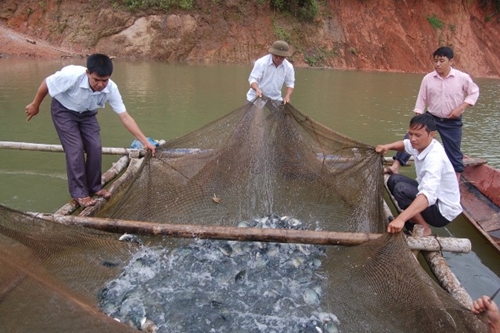 Sơn La Phát huy vai trò hợp tác xã kiểu mới trong phát triển nông nghiệp, nông thôn