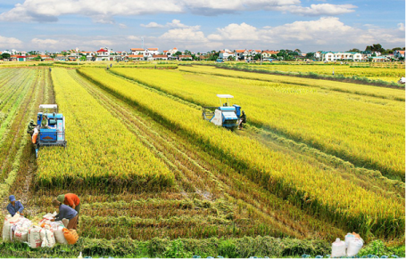 Nhà máy trồng trọt  Mô hình hiệu quả trong phát triển Đô thị và Nông thôn  bền vững  Tạp chí Kiến Trúc