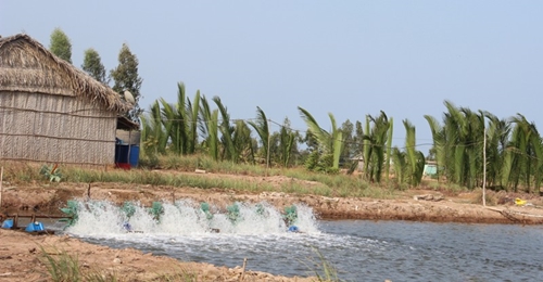 Tăng cường quản lý nuôi trồng thủy sản trong điều kiện thời tiết nắng nóng