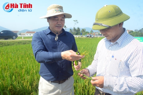 Hà Tĩnh hỗ trợ gần 34 tỷ đồng cho nhân dân thiệt hại trong vụ Xuân 2017
