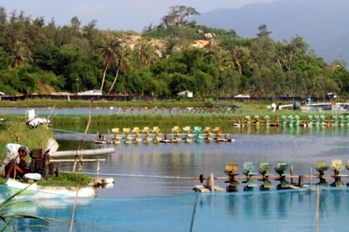 Phú Yên gỡ khó trong ngành thủy sản