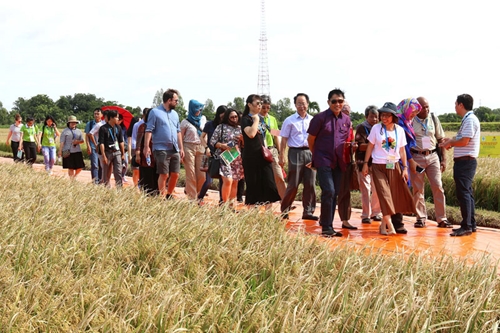 Tuần lễ an ninh lương thực APEC 2017 các đại biểu tham quan nhiều mô hình kinh tế nông nghiệp tiêu biểu