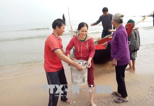Ngư dân Quảng Bình trúng lộc biển đầu năm