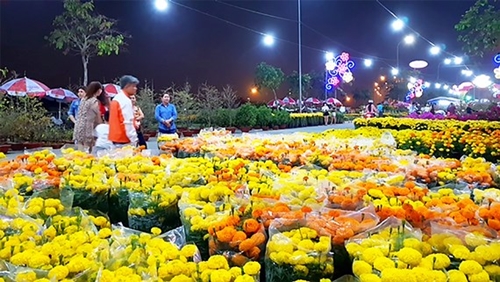 Khai mạc Chợ hoa xuân Bình Điền 2018