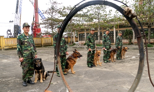 Đội “Khuyển Cảnh” tại Trung tâm Huấn luyện chó nghiệp vụ Bộ đội Biên phòng Đà Nẵng