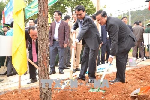 Phó Chủ tịch Quốc hội Đỗ Bá Tỵ tham dự Tết trồng cây tại tỉnh Lào Cai