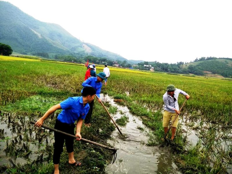 Tuổi trẻ tình nguyện chung tay xây dựng nông thôn mới  Báo Bình Dương  Online