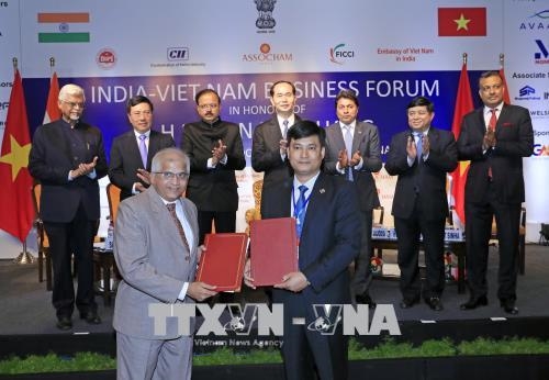 Chủ tịch nước dự Diễn đàn doanh nghiệp Việt Nam - Ấn Độ
