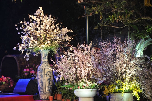 Lễ hội Hoa anh đào tại Hà Nội sẽ diễn ra từ ngày 23 - 26 3