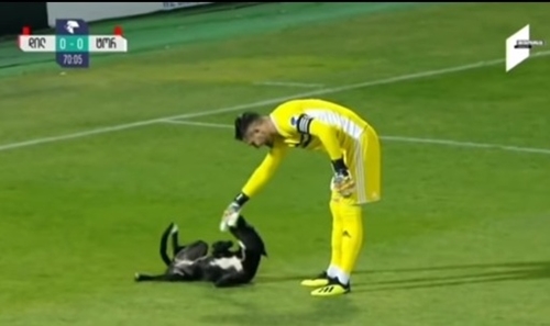 Chú chó gây gián đoạn trận bóng đá Giải vô địch quốc gia Georgia