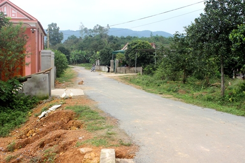 Tam Dương Vĩnh Phúc  Tập trung triển khai chương trình mục tiêu quốc gia xây dựng Nông thôn mới