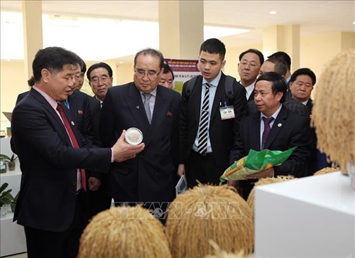 Phái đoàn cấp cao Triều Tiên thăm Viện Khoa học Nông nghiệp Việt Nam