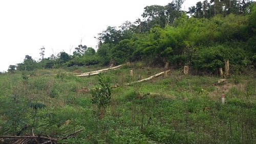 Đắk Nông tăng cường bảo vệ rừng trong mùa khô 2019