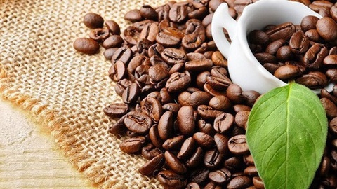 CNBC đánh giá cao sự tăng trưởng vượt bậc của Việt Nam trong xuất khẩu cà phê