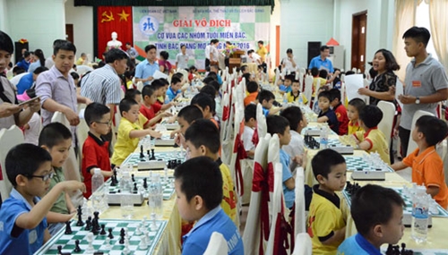 Quang Ninh bags two golds at age-group Northern open chess 2016 tour