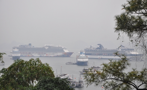 Four international cruise ships bring over 6,000 tourists to Ha Long