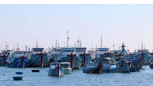 Binh Thuan province allocates VND27 billion for offshore fishing vessels