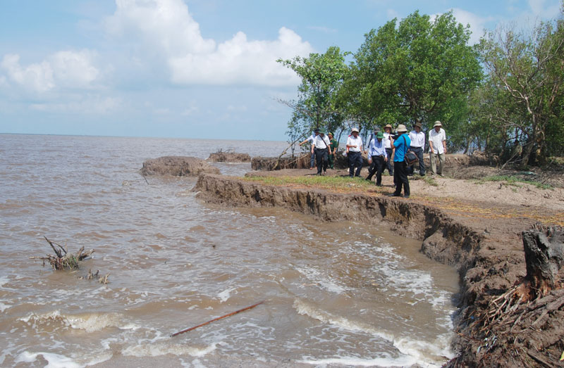 EU helps Vietnam to deal with coastal erosion