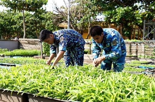 Agricultural production on Spratly Islands