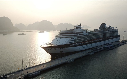 Cruise tourism attracts international tourists to Ha Long bay