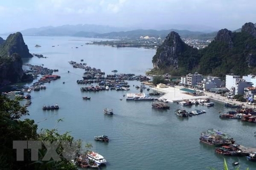 Quang Ninh Van Don island district develops marine tourism