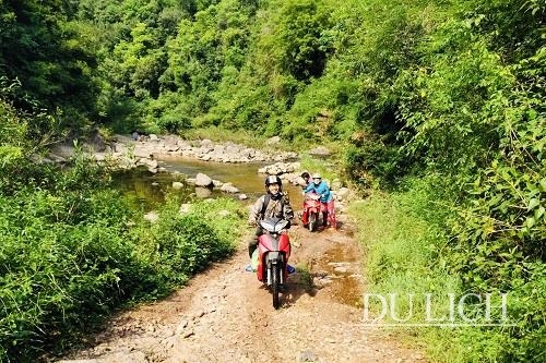 Exploring Ngan Chi Forest in Binh Lieu District
