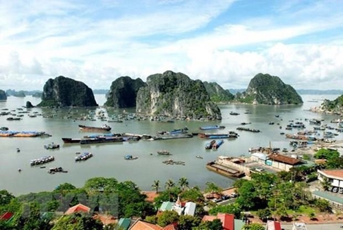 Tourist arrivals to Quang Ninh rise after tourism stimulus package