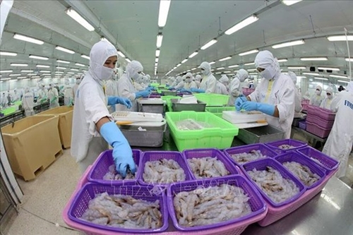 WB Vietnam s economy continues to show resilience