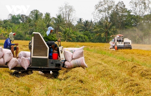 Vietnamese rice exports reaches 1 48 million tonnes during first quarter