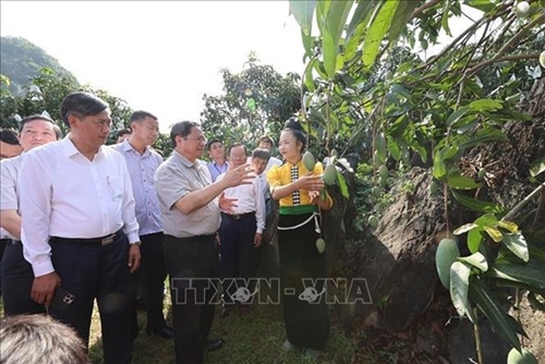 PM makes field trip to major projects in Son La
