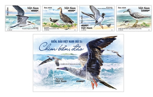 Stamps on birds of Vietnamese sea and islands to be issued