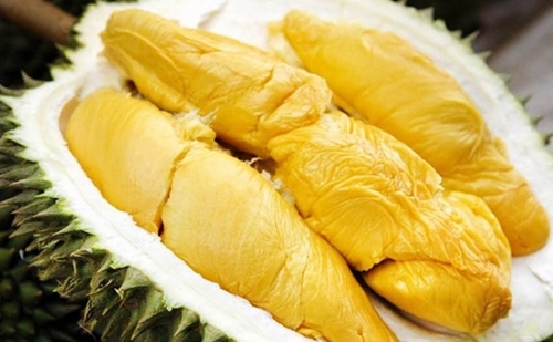 Vietnam’s durian expected to be shipped to China via official channels